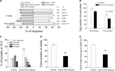 Volatile Signals From Guava Plants Prime Defense Signaling and Increase Jasmonate-Dependent Herbivore Resistance in Neighboring Citrus Plants